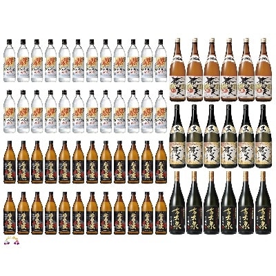 奄美黒糖焼酎　毎日が本格黒糖焼酎セット(合計66本)