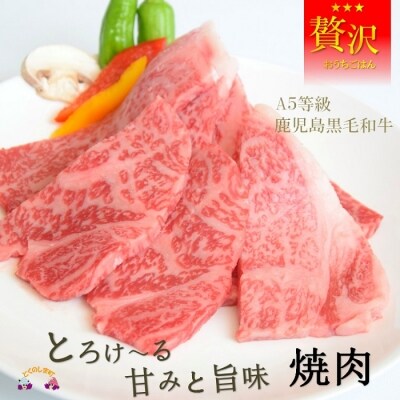 【A5等級鹿児島黒毛和牛】とろけ～る甘みと旨味 焼肉