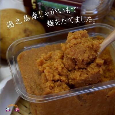 ～赤土育ちのじゃがいも使用～徳之島のじゃがいも味噌(無添加)
