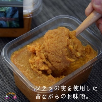 ～徳之島産ソテツの実を使用～昔ながらのなり味噌(無添加)