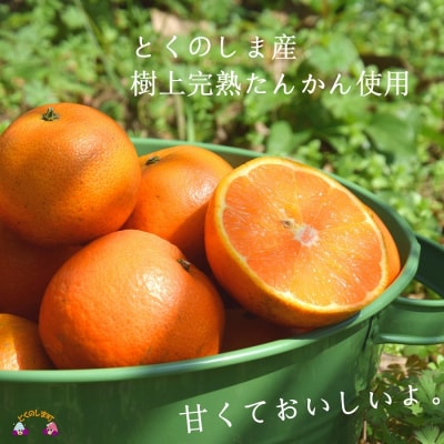 ≪NEW 2026年もぎたて!≫徳之島の直島農園さんのたんかんしぼり(720ml×3本)