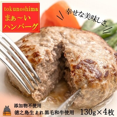 ~美味しいがギュッと詰まった~徳之島“まぁ~い”ハンバーグ(4枚)