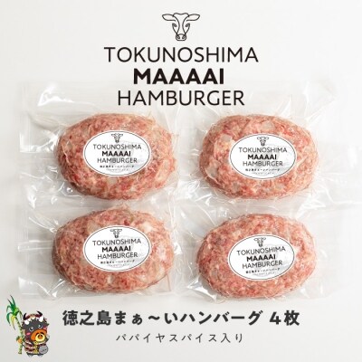 ~美味しいがギュッと詰まった~徳之島“まぁ~い”ハンバーグ(4枚)