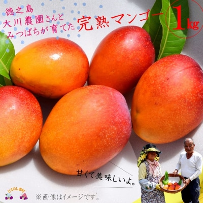 ≪今が旬!≫徳之島大川農園とみつばちが育てた完熟マンゴー(1kg)