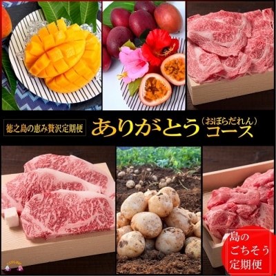 ～徳之島の“旬”定期コース～徳之島ありがとう(おぼらだれん)コース