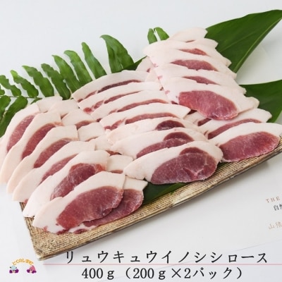 ～THEジビエ 自然を食べる。～リュウキュウイノシシ(ロース)