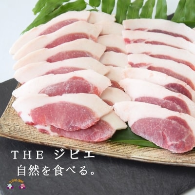 ～THEジビエ 自然を食べる。～リュウキュウイノシシ(ロース)