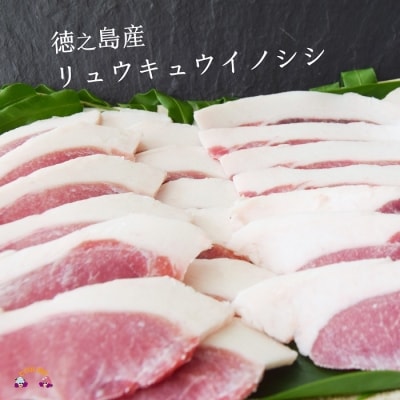 ～THEジビエ 自然を食べる。～リュウキュウイノシシ(ロース)