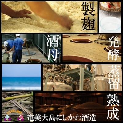 奄美本格黒糖焼酎　限定あまんゆ×天水百歳(30度)(1.8L×2本)