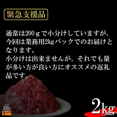 【緊急支援】～THEジビエ　自然を食べる。～リュウキュウイノシシ2kg(ミンチ)