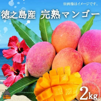 ≪先行受付≫てぃだ(太陽)を浴びて育った徳之島産完熟マンゴー(2kg)