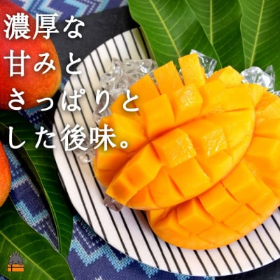 ≪先行受付≫てぃだ(太陽)を浴びて育った徳之島産完熟マンゴー(2kg)