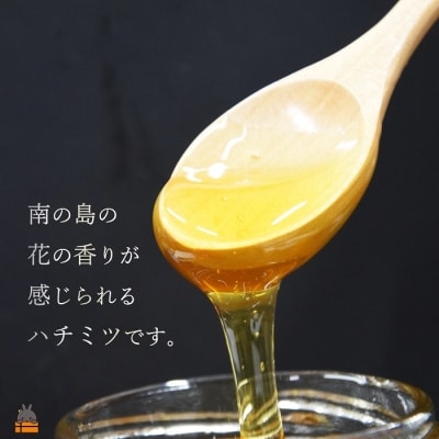 徳之島産完熟“生”ハチミツ「てぃだがなし」(200g×2本)