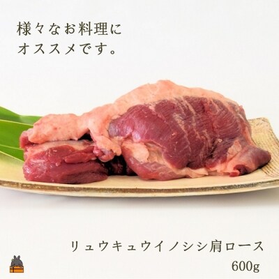 THEジビエ 自然を食べる。~リュウキュウイノシシ(肩ロースブロック600g)