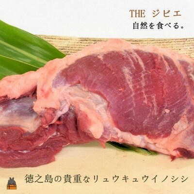 THEジビエ 自然を食べる。~リュウキュウイノシシ(肩ロースブロック600g)
