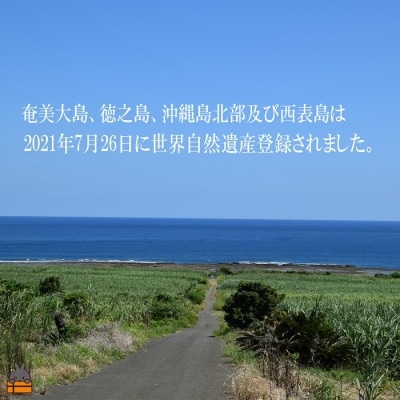 【祝!世界遺産】奄美黒糖焼酎ざわわ世界自然遺産登録記念ラベル(2本)