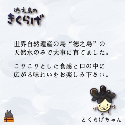 ～コリコリ食感がたまらない～徳之島産乾燥きくらげ(15g×14袋)
