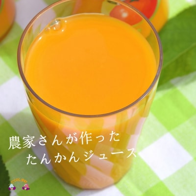 【2025年収穫!】完熟の幸せな甘み!徳之島たんかんジュース(3本)