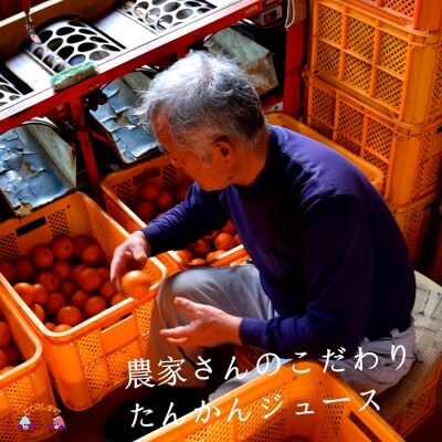 【2025年収穫!】完熟の幸せな甘み!徳之島たんかんジュース(2本)