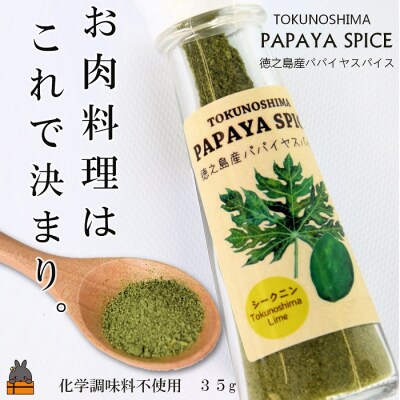 「お肉料理はこれで決まり!!」パパイヤスパイス(シークニン35g)