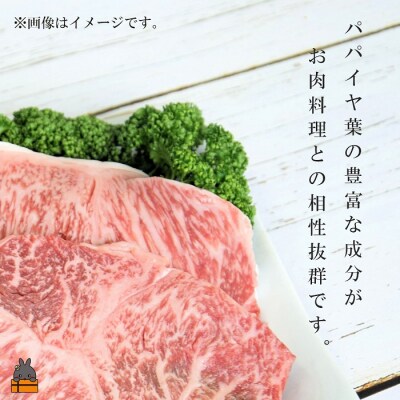 「お肉料理はこれで決まり!!」パパイヤスパイス(シークニン35g)