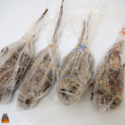 新鮮なまますぐ冷凍!!徳之島産冷凍伊勢海老1kg(2尾～4尾)
