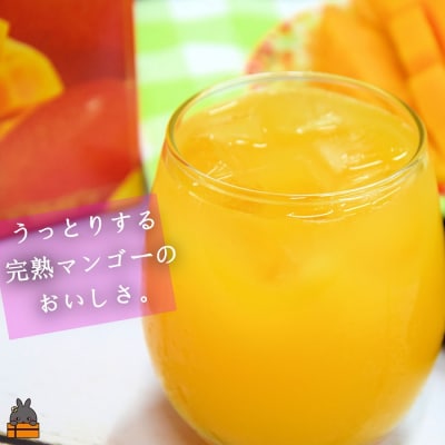 ～うっとりするおいしさ～徳之島のマンゴージュース(2本)