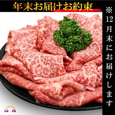 《12月末配送お約束》徳之島が世界に誇る“のざき牛”モモすき焼きギフト