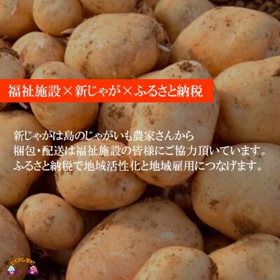≪今が旬!≫福祉作業所の仕事にもつながる!徳之島の“新”じゃがいも(5kg)