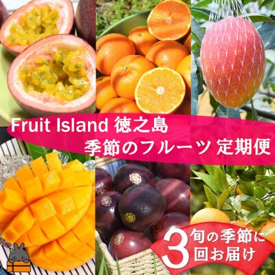 フルーツアイランド徳之島 季節のフルーツ定期便 ( マンゴー たんかん パッション )