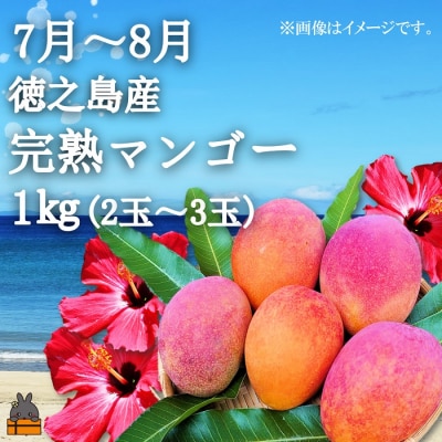 《限定受付》フルーツアイランド徳之島 季節のフルーツ定期便