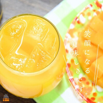 ～南の島から「笑顔になる。」～徳之島産マンゴージュース400ml