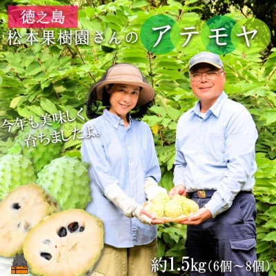 ～驚きの糖度が人気!～徳之島 松本果樹園さんのアテモヤ(約1.5kg)