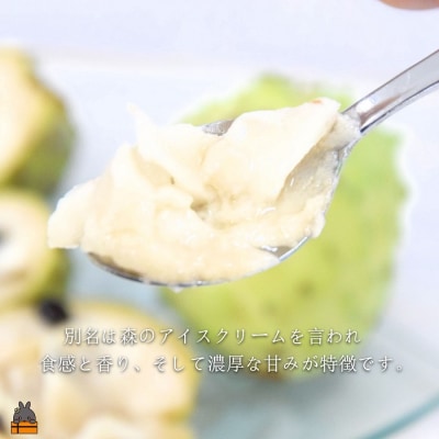 ～驚きの糖度が人気!～徳之島 松本果樹園さんのアテモヤ(約1.5kg)