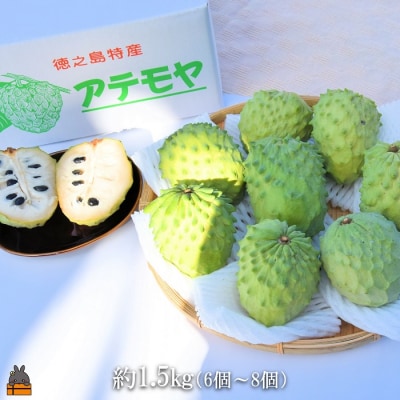 ～驚きの糖度が人気!～徳之島 松本果樹園さんのアテモヤ(約1.5kg)