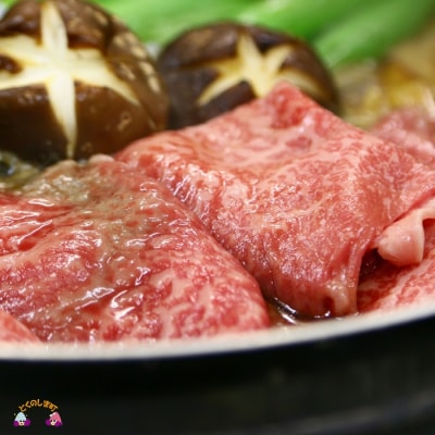 《1月末配送》徳之島が世界に誇る“のざき牛”モモすき焼きギフト