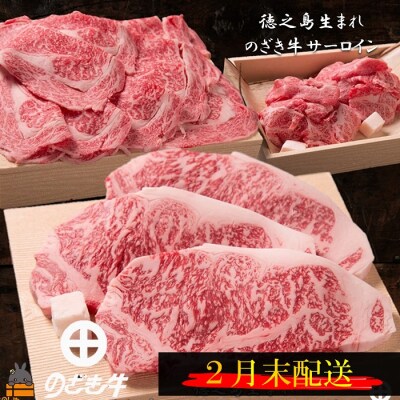 《2月末配送》徳之島が世界に誇る“のざき牛”サーロインステーキギフト