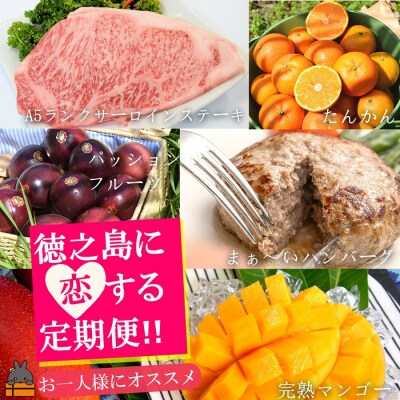 《年末限定受付》(お1人様にもオススメ!)徳之島に「恋」する定期便(限定100)