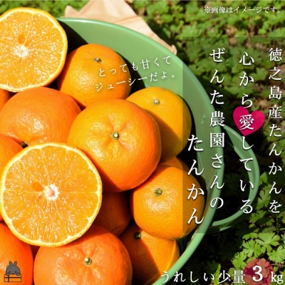 《今が旬!》たんかんを心から愛している。ぜんた農園のたんかん(3kg)