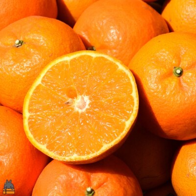 《今が旬!》たんかんを心から愛している。ぜんた農園のたんかん(10kg)