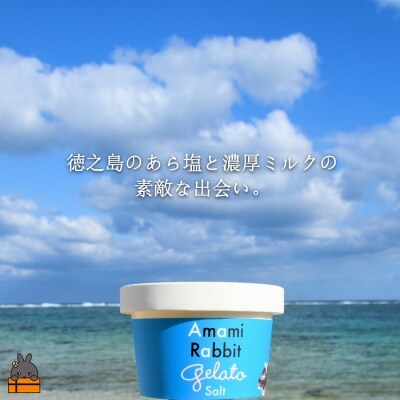 《ふるさと納税限定》美ら海の塩使用。アマミラビットジェラート(Salt:塩)(8個)