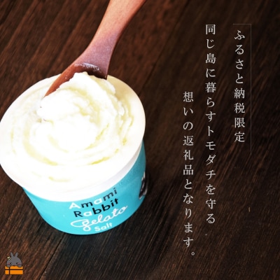 《ふるさと納税限定》美ら海の塩使用。アマミラビットジェラート(Salt:塩)(16個)