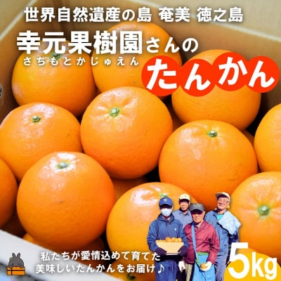 ≪先行受付≫幸元(さちもと)果樹園さんのこだわりのたんかん(5kg)