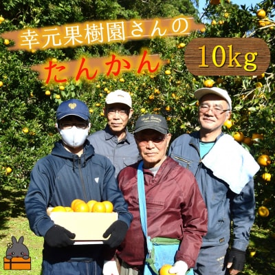 ≪今が旬≫幸元(さちもと)果樹園さんのこだわりのたんかん(10kg)