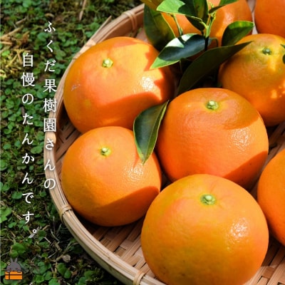 ≪今が旬!≫ねぇ美味しいよ。徳之島 ふくだ果樹園さんのたんかん(10kg)