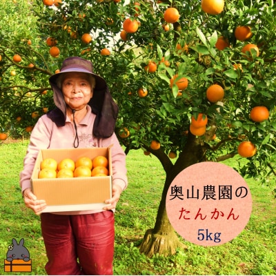 ≪今が旬!≫奥山みかん農園さんのたんかん(5kg)