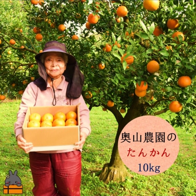 ≪今が旬!≫奥山みかん農園さんのたんかん(10kg)