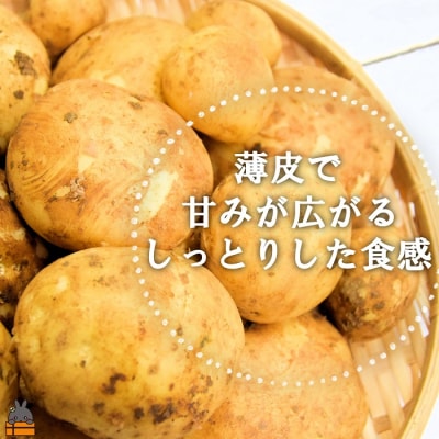 《まもなく旬!》～これからは産地で選びたくなる～徳之島産新じゃがいも(5kg)
