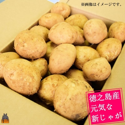 《まもなく旬!》～これからは産地で選びたくなる～徳之島産新じゃがいも(5kg)