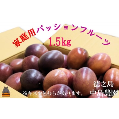 《収穫開始!》とくのしま中島農園さんの家庭用パッションフルーツ(約1.5kg)